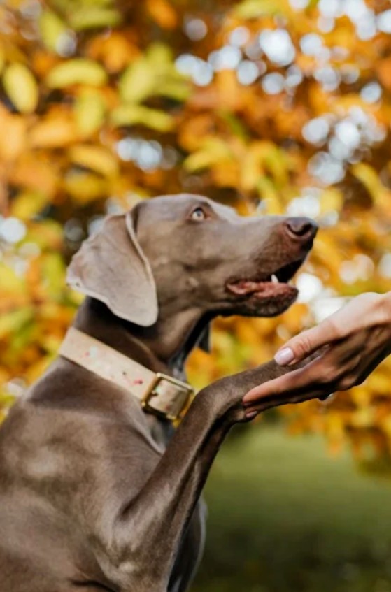 Arizona - zdjęcie 3